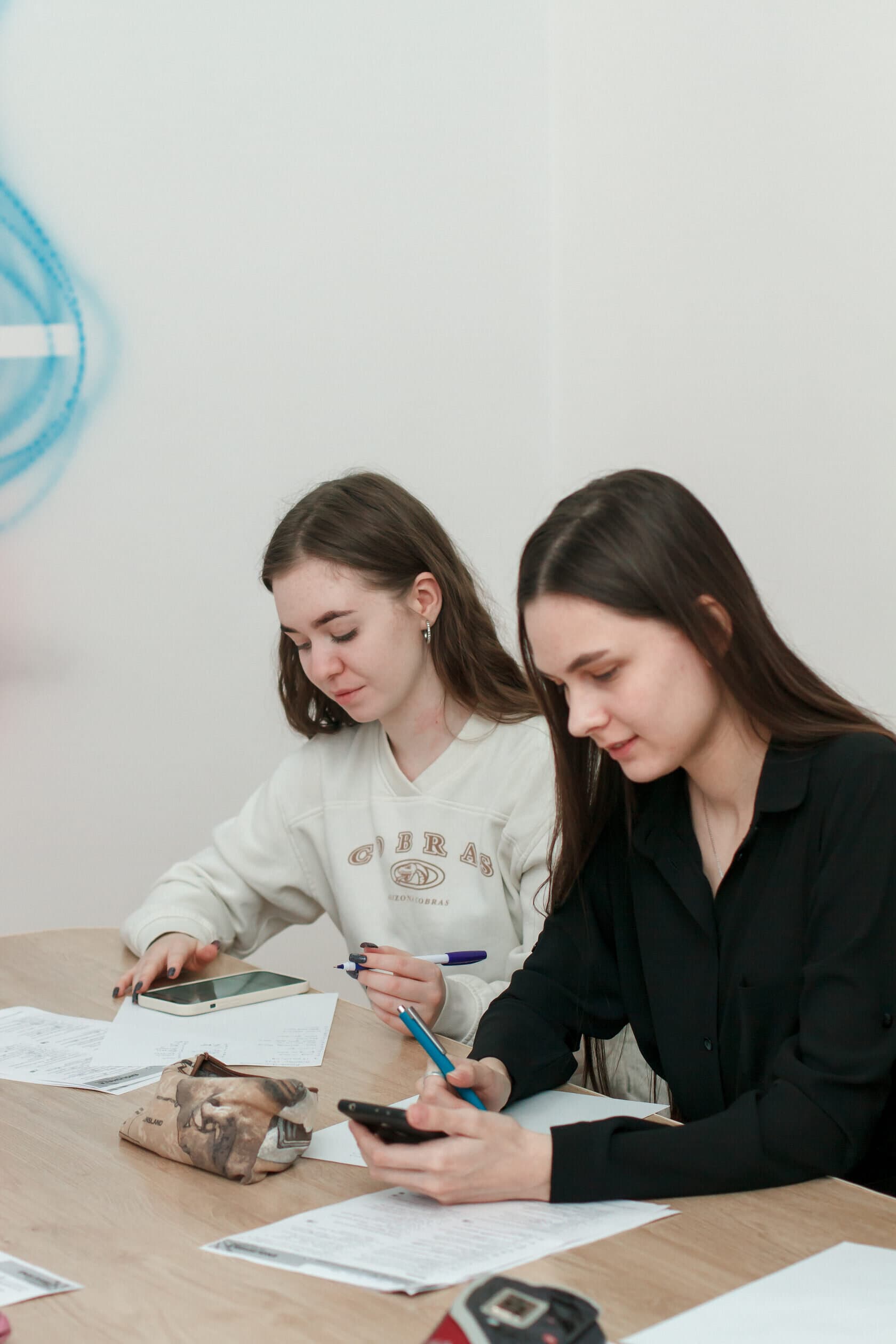 Подготовка к итоговой аттестации
